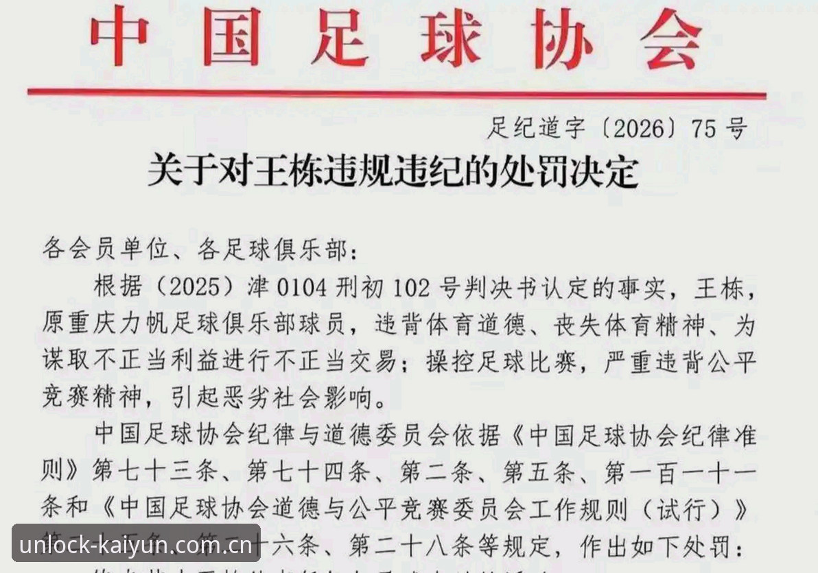 开启无限可能使用指南 中国足协第三批禁足名单深度解析教程:从足球反腐看体育公正